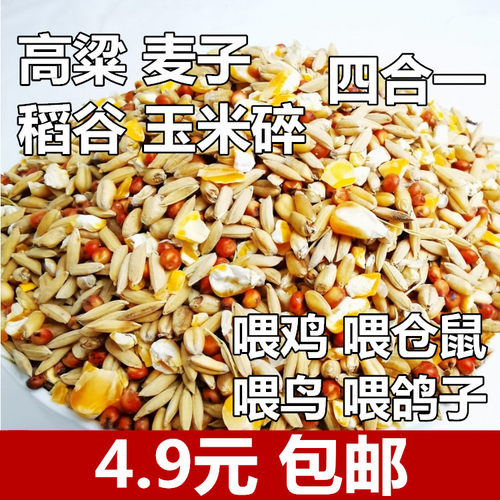 高粱麦子稻谷玉米碎粒混合喂鸡喂鸟喂鸽子渣糁杂高梁鸽粮食保健砂