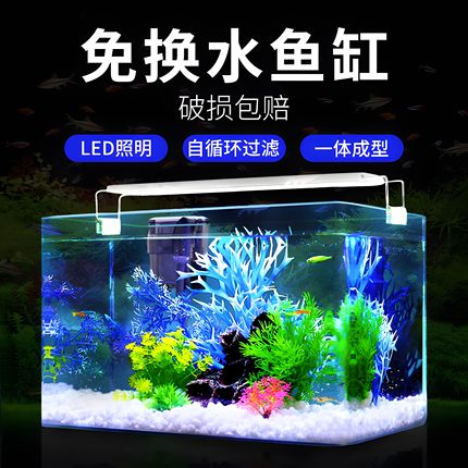 鱼缸客厅2025新款长方形玻璃客厅生态小型制氧过滤一体机懒人造景