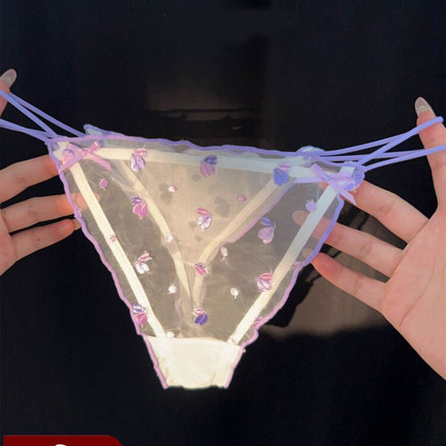 性感蕾丝刺绣低腰网纱丁字裤