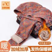 弹力单件碎花中老年妈妈加厚衬裤 德绒女士薄绒秋裤 保暖松口修身