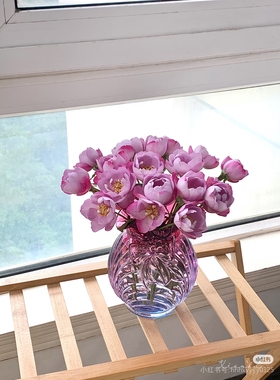 一加仑扦插中苗羊脂香水月季花苗原土原盆发货阳台庭院盆栽地栽