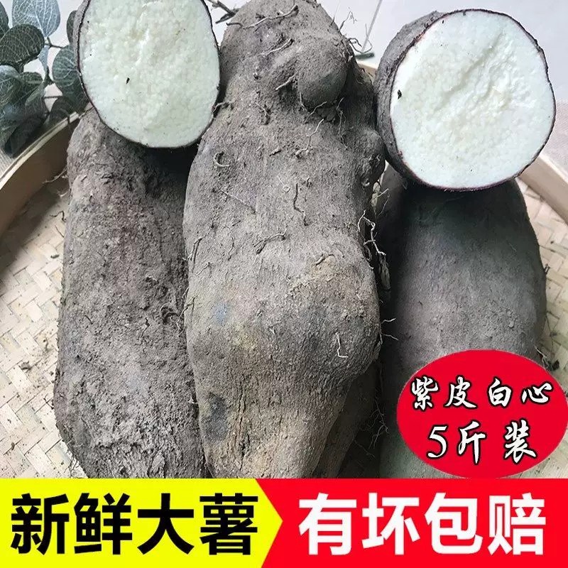 新鲜现挖山药大薯紫皮白肉脚板薯5斤装紫玉怀山芋农家毛薯蔬菜包