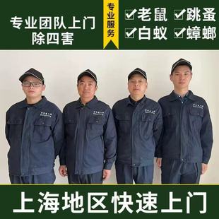上海灭鼠公司上门抓老鼠家庭四害消杀除鼠服务抓老鼠神器除鼠团队