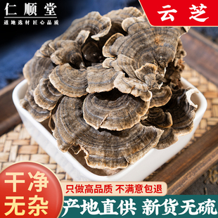 云芝中药材新货包邮 正宗天然正品无硫云芝蘑可磨云芝粉500g克