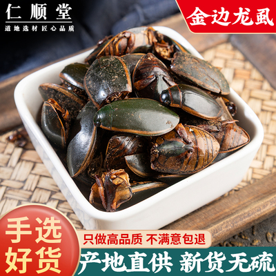 金边龙虱中药材大龙虱100g克包邮 黄缘龙虱精品干品 水鳖虫射尿龟