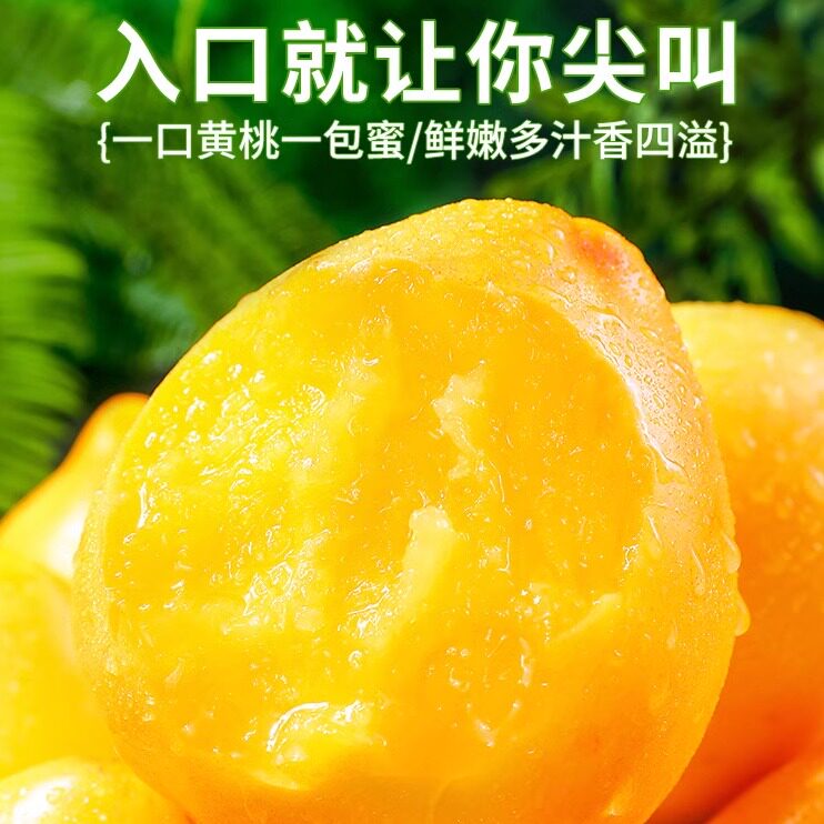 蒙阴沂蒙山黄油桃脆桃新鲜现摘水果农产品桃子果园直发包邮