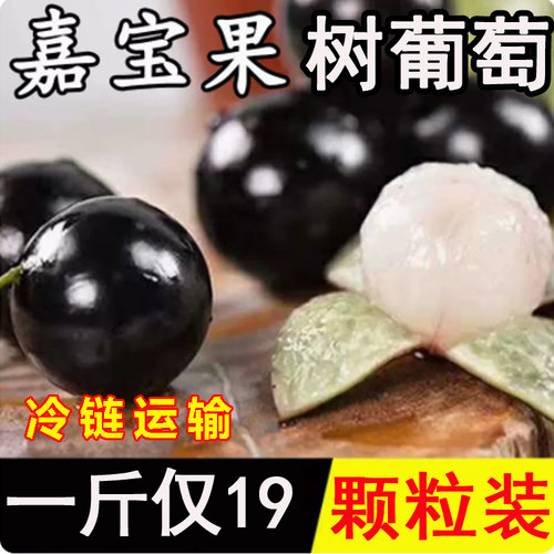 稀有树葡萄嘉宝果风味独特