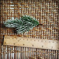 Бай Шуан Сясосонг