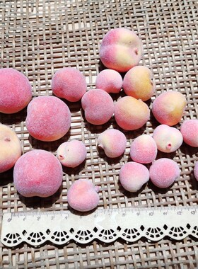 花海大世界水蜜桃diy手工素材