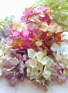 花海大世界油画绣球花瓣仿真花