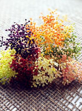 花海大世界仿真花满天星多肉