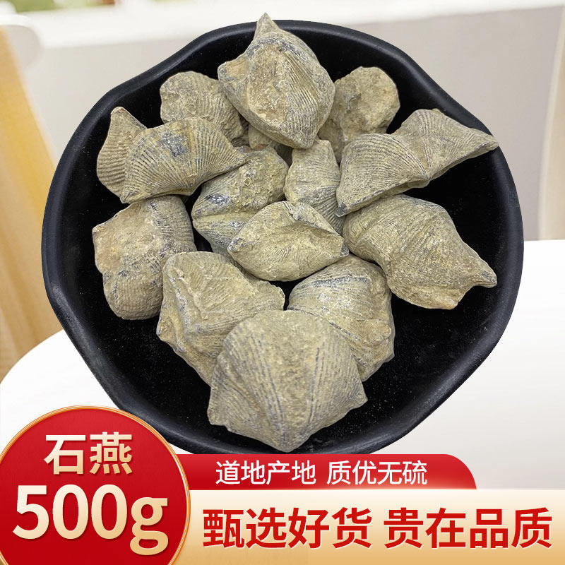 石燕500克中药材石燕 新货燕石子 燕子石水飞石燕另有磁石 灶心土
