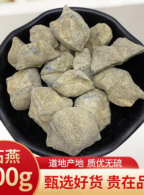 石燕500克中药材石燕 新货燕石子 燕子石水飞石燕另有磁石 灶心土