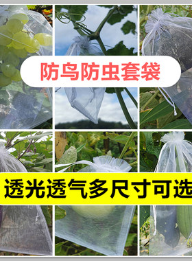 果树防虫网袋草莓防鸟防虫网眼袋西红柿番茄桃子葡萄专用水果套袋