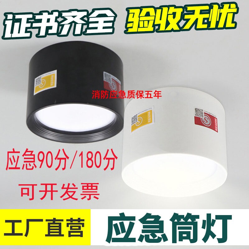 明装吸顶免开孔带电池应急筒灯图片