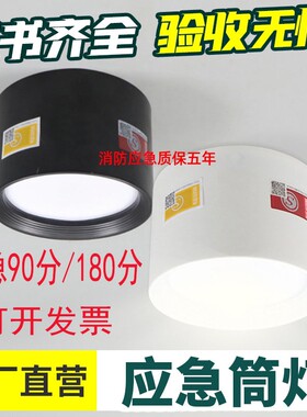 明装吸顶免开孔带电池应急筒灯