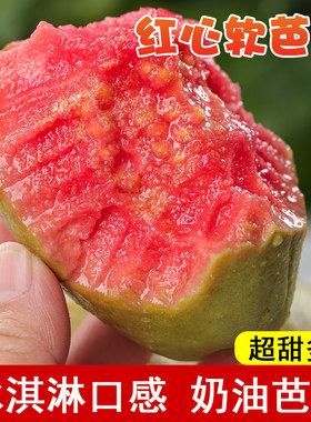 番石榴果树苗嫁接四季珍珠奶油帝王红宝石无籽胭脂红心西瓜芭乐苗