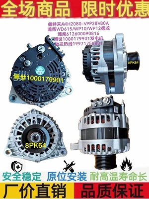 潍柴612600090816发电机WP10发电