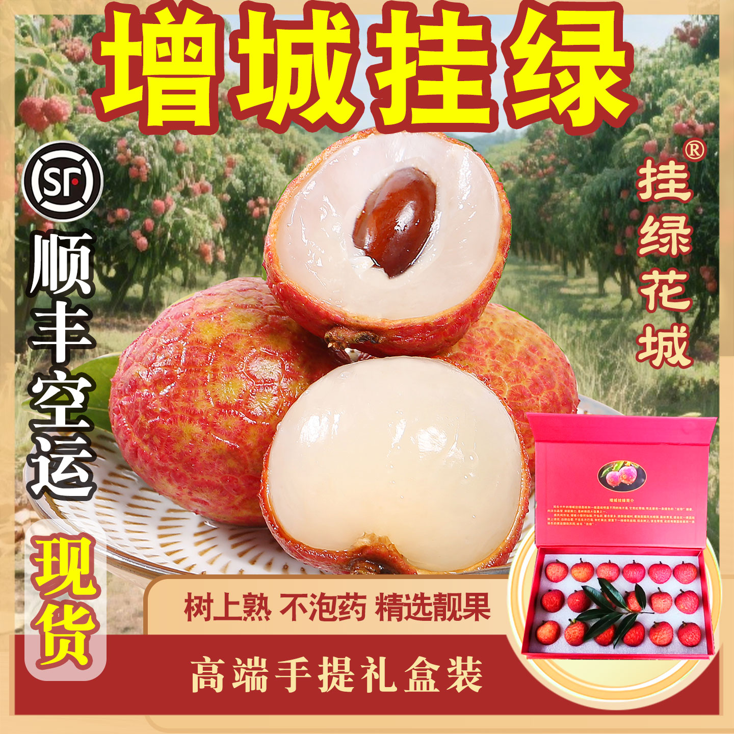 现货【正宗增城挂绿荔枝】顺丰空运高端手提礼盒装 名贵大果鲜甜