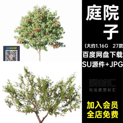 27款苹果树模型石榴橘琵琶农场金桔植物庭院桃树甜橙子su金钱