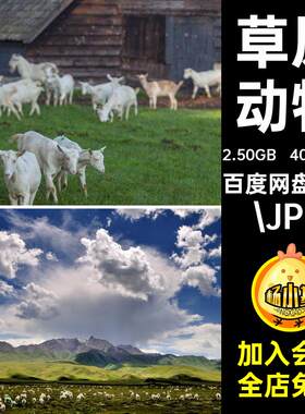 山羊绵羊高清JPG图片草原牧场羊羣黑白小羊羔动物特写照片素材