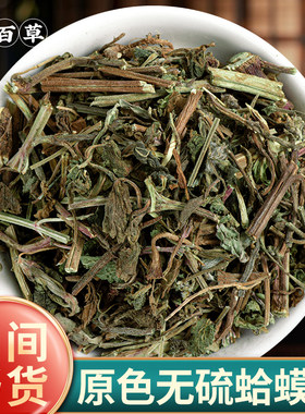 野生新货蛤蟆草中药材