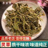 寻百草灵草500g香草灵香草零陵香草无硫熏香灵草卤料调料香料大全