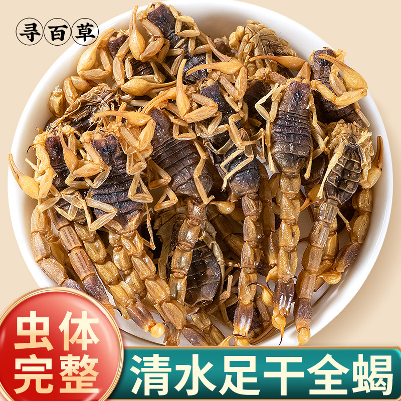 寻百草全蝎中药材清水蝎子全蝎干中药材干足干钳蝎全虫干货正品