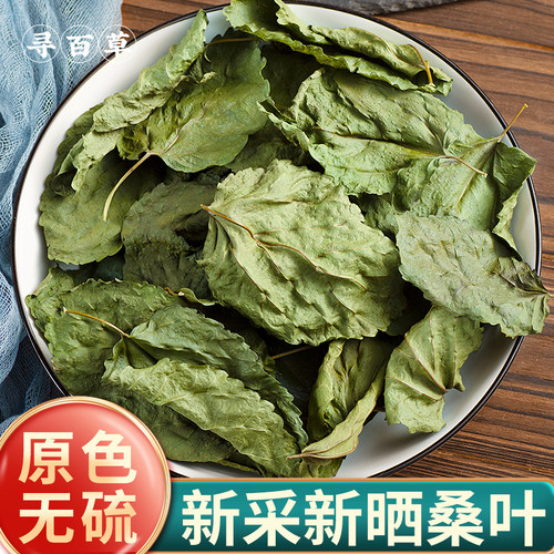 寻百草野生霜桑叶中药材