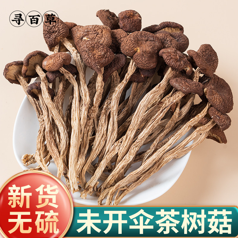 未开伞茶树菇正品500g干货农家新货干香菇特产新菌菇可配虫草煲汤