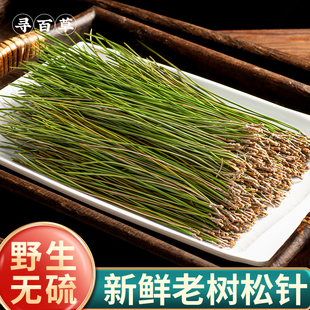 寻百草松针中药材正宗天然野生松针茶泡茶马尾松茶白松泡水500g