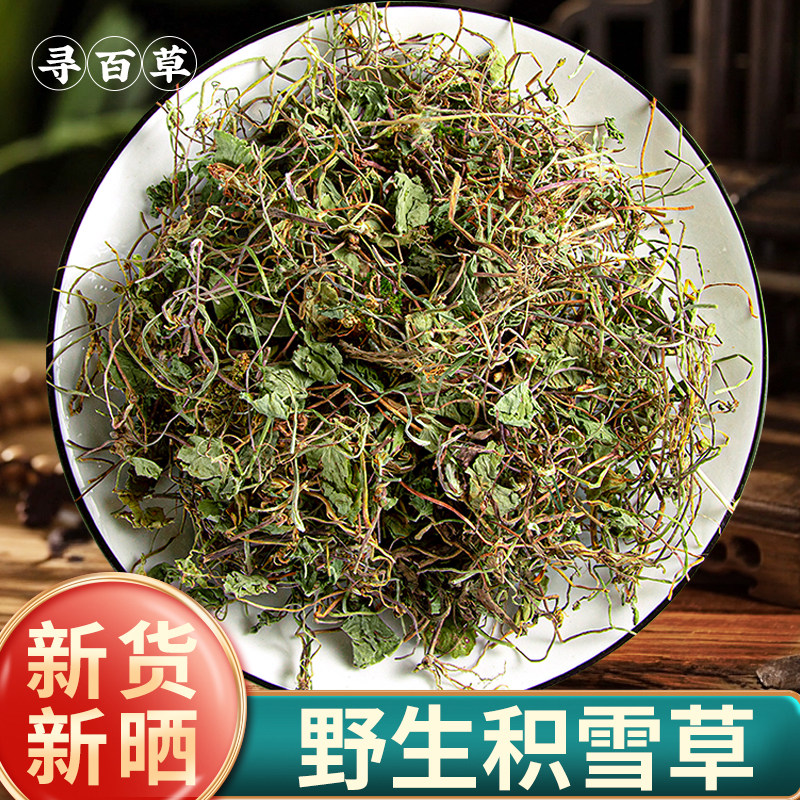 寻百草野生积雪草中药材500g克积雪草新货正品马蹄草雷公根落跌打