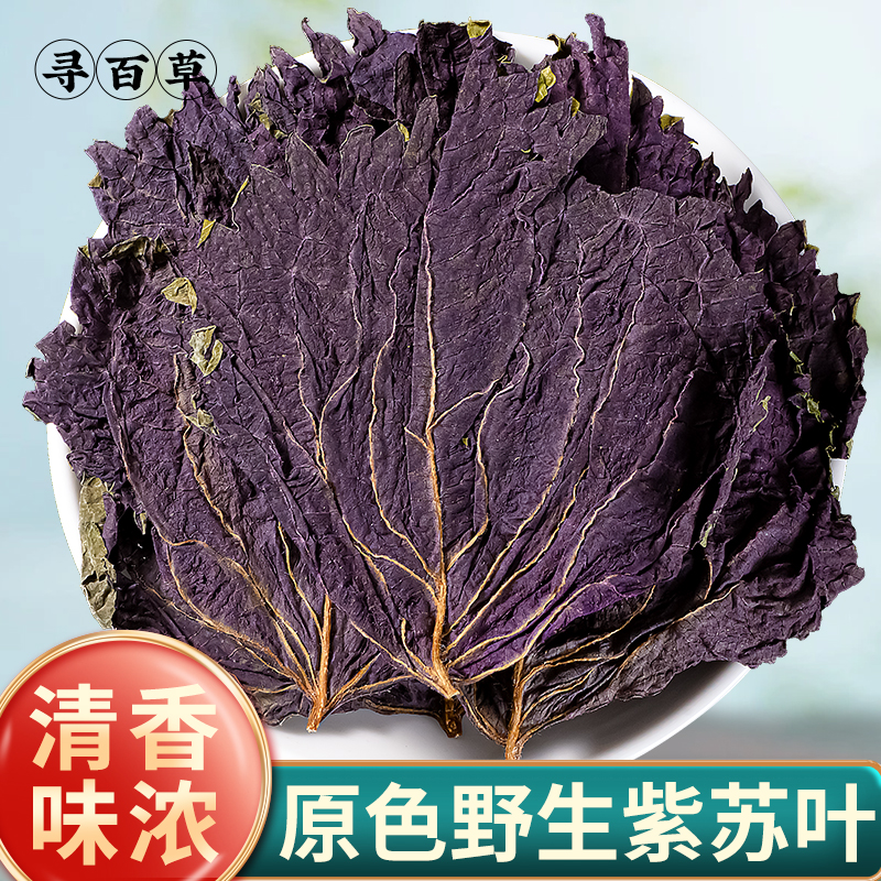 寻百草野生紫苏叶中药材