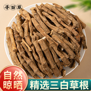 寻百草三白草根中药材500g野生三百草晒干百节藕白花塘边藕天性草