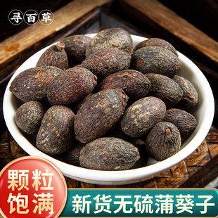 寻百草野生葵树子中药材500g克蒲葵子正品新会葵扇籽葵树籽葵甚子