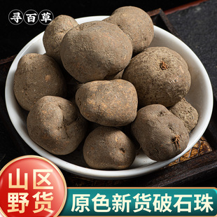 寻百草野生破石珠中药材500g三叶青石老鼠金线吊葫芦土栾儿九牛子