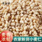 农家新货小麦仁米新鲜小麦仁五谷杂粮米熬粥煮饭粗粮做麦酱麦芽糖