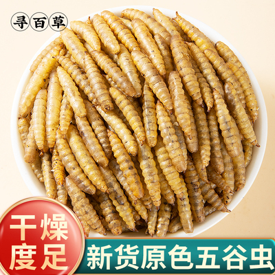 五谷虫中药材干净无臭