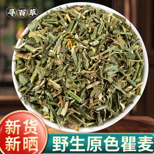 寻百草野生瞿麦中药材500克中药翟麦中草药瞿麦巨麦药材苣麦瞿麦