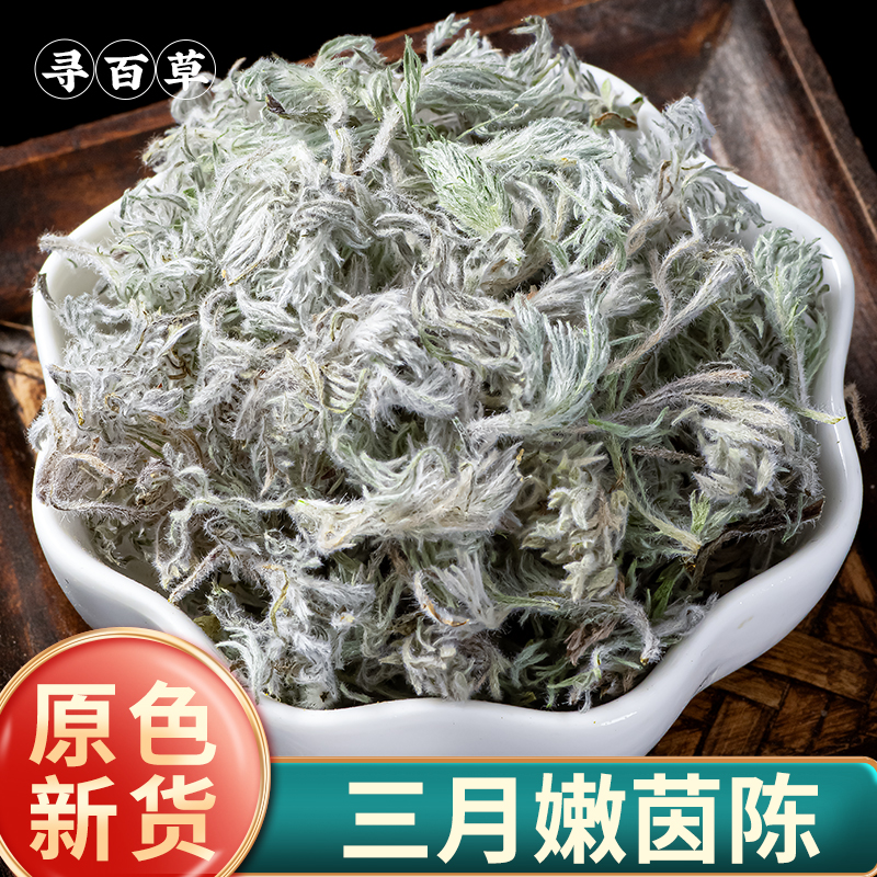 寻百草新鲜茵陈中药材野生白蒿棉茵陈蒿绵茵陈因陈500g三月绵茵陈