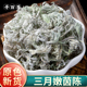寻百草新鲜茵陈中药材野生白蒿棉茵陈蒿绵茵陈因陈500g三月绵茵陈