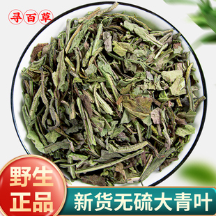 寻百草大青叶中药材500g野生大青叶茶干货新鲜板蓝根叶子大青叶粉