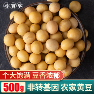 寻百草四川黄豆干货500g秦岭2025新货大豆打豆浆专用非转基因豆子