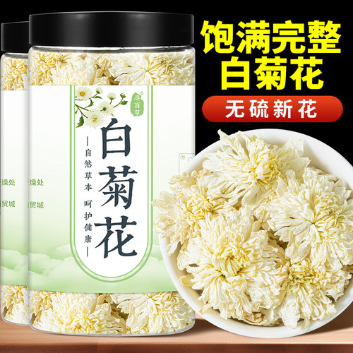 人工采收天然白菊花传统晒干