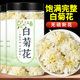 寻百草正宗菊花白菊花茶中药材散装 贡菊花大花泡茶优选泡水喝罐装
