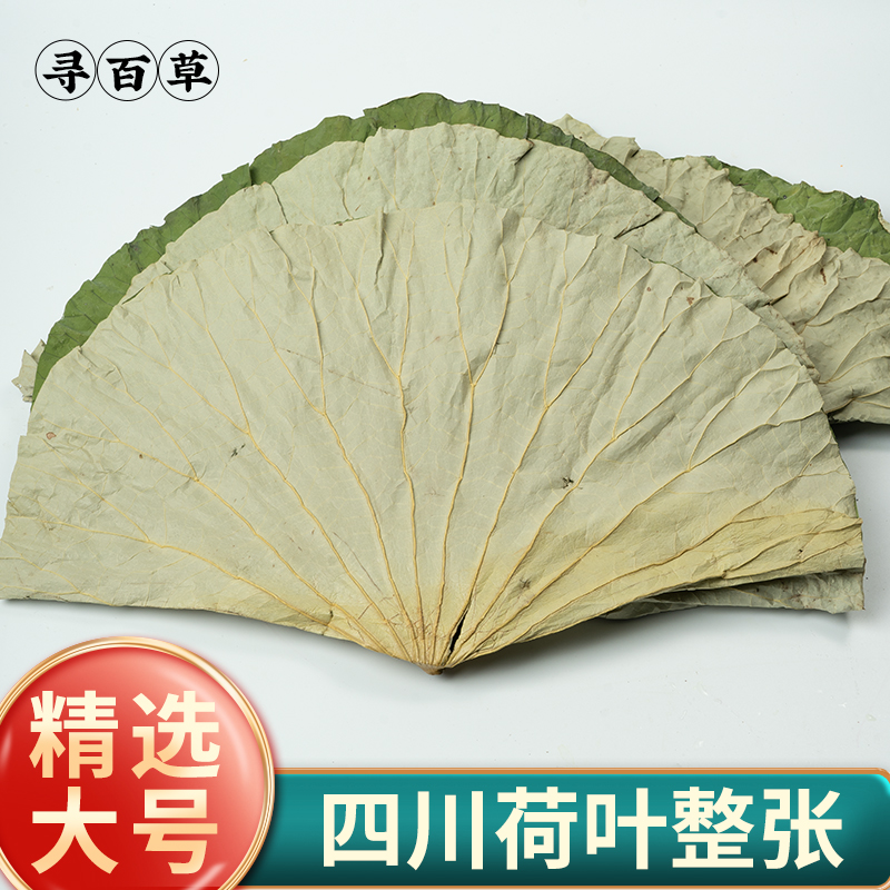 四川荷叶整张250g干荷叶