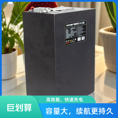 48V60V72V三轮四轮车通用锂电池大容量电瓶