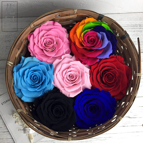 Roseamor巨型玫瑰永生花diy材料