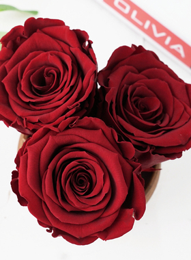 暗红5-6cm 进口roseamor厄瓜多尔永生花diy车挂玫瑰大号单朵
