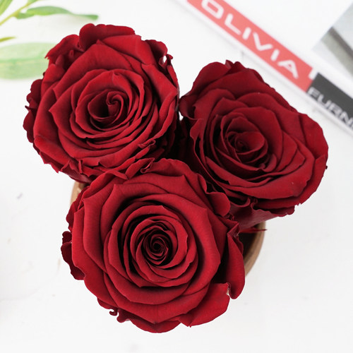 roseamor厄瓜多尔diy单朵永生花